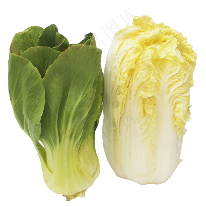 娃娃菜青菜组合