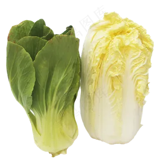 娃娃菜青菜组合