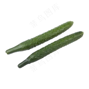 黄瓜（png免抠）