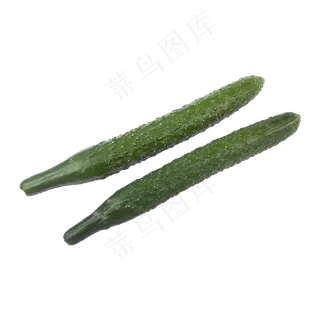 黄瓜（png免抠）