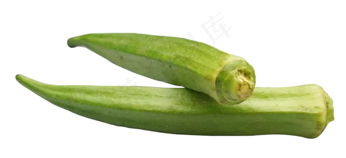 绿色蔬菜秋葵(2000X2000(DPI:300))