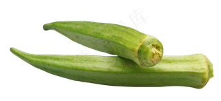 绿色蔬菜秋葵