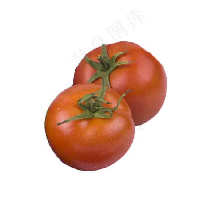 番茄（png免抠）(2000X2000(DPI:72))psd模版下载