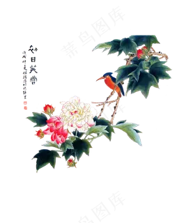 国画花中国风高清免扣素材27