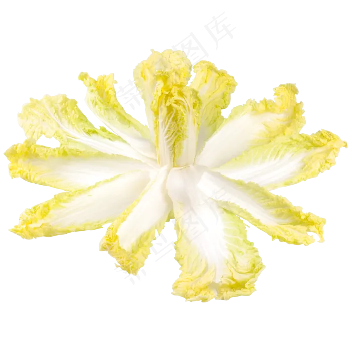 大白菜摆盘(2000X2000(DPI:300))