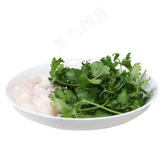 芹菜葱调料蔬菜