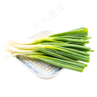 小葱蔬菜绿色