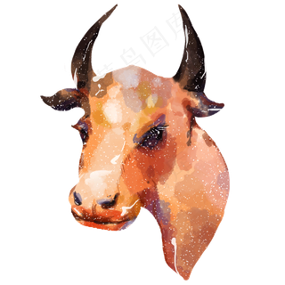 牛年水彩风牛头