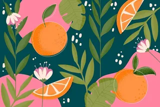 缩放概念的热带树叶背景