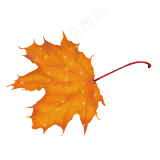 黄色手绘秋天枫叶可商用元素