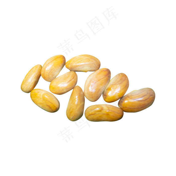 菠萝蜜籽(2500*2500px 300 dpi )