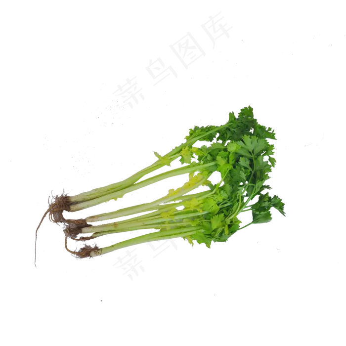 几把芹菜(2000X2000(DPI:300))