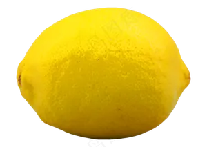 柠檬果黄柠檬