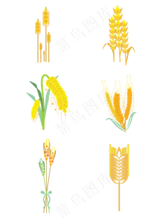 金黄色植物麦穗秋天秋收 金黄色植物麦穗秋天秋收