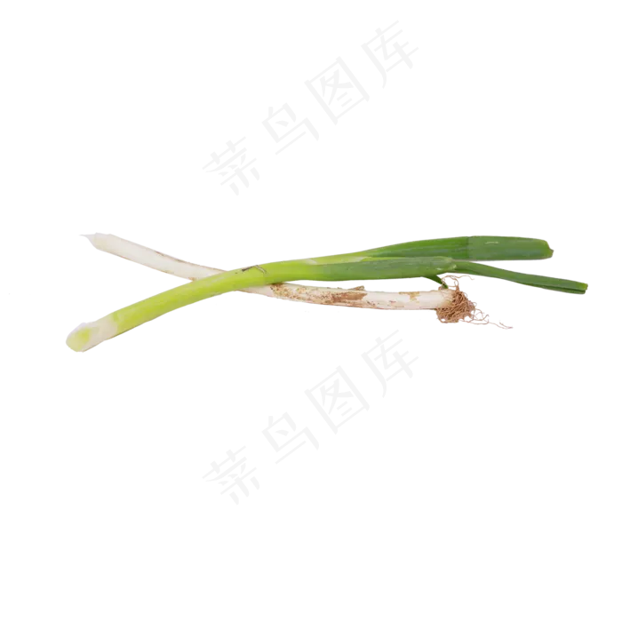 几颗大葱(2188X1953(DPI:300))