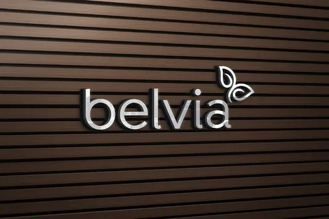 带木墙的Logo模型样机