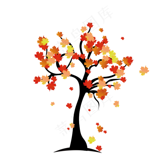立秋枫树枫叶落叶秋天素材