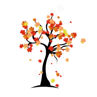 立秋枫树枫叶落叶秋天素材