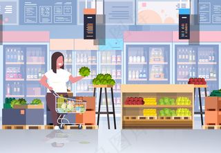 女人用购物车选择蔬菜水果减肥概念