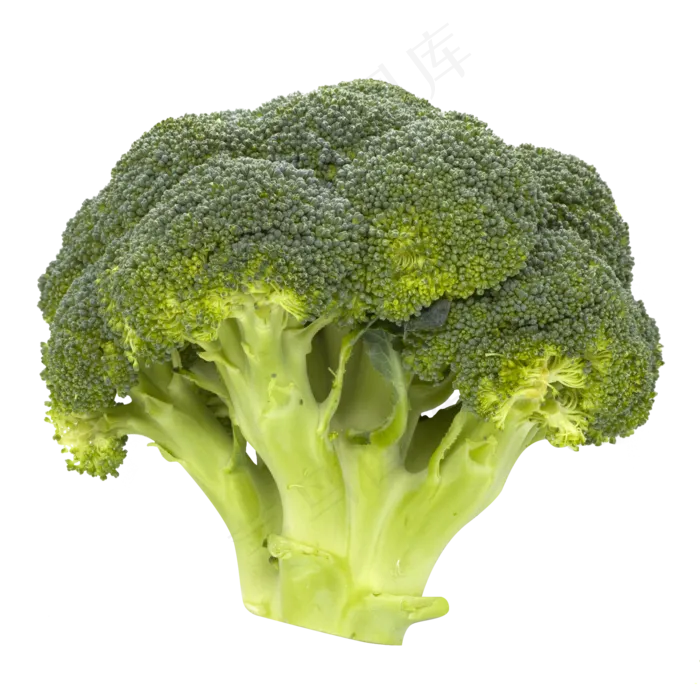 西兰花蔬菜(2000*2000px 300 dpi )