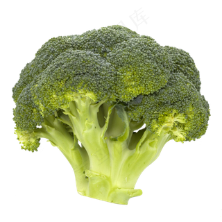 西兰花蔬菜