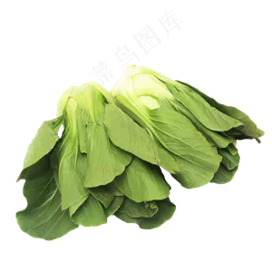 小油菜上海青