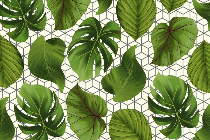 具有几何背景的热带叶子