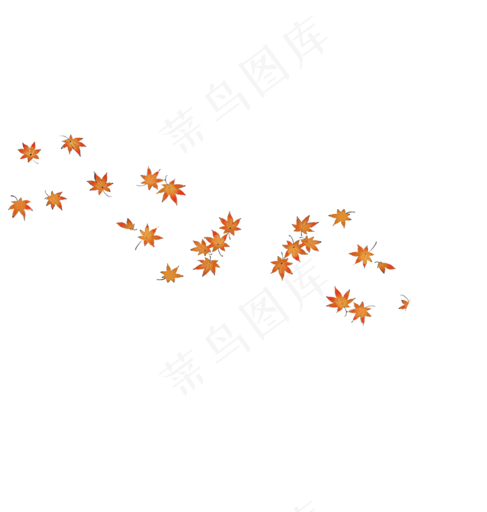 手绘秋天植物枫叶