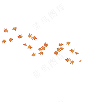 手绘秋天植物枫叶