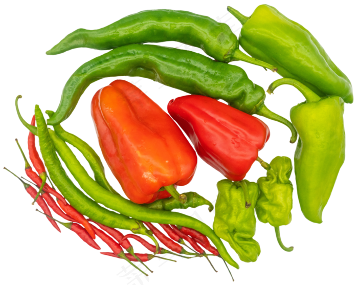 辣椒食材合集