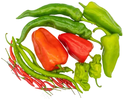 辣椒食材合集