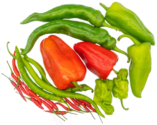 辣椒食材合集