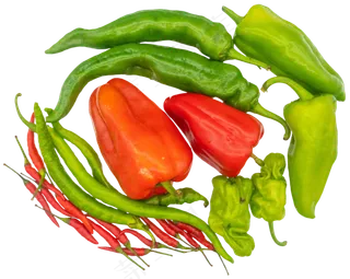 辣椒食材合集
