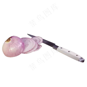 紫色洋葱蔬菜