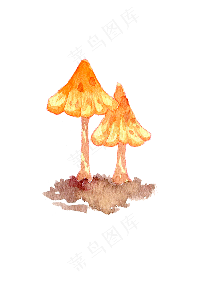 秋季菇类菌类蘑菇手绘蘑水彩蘑菇