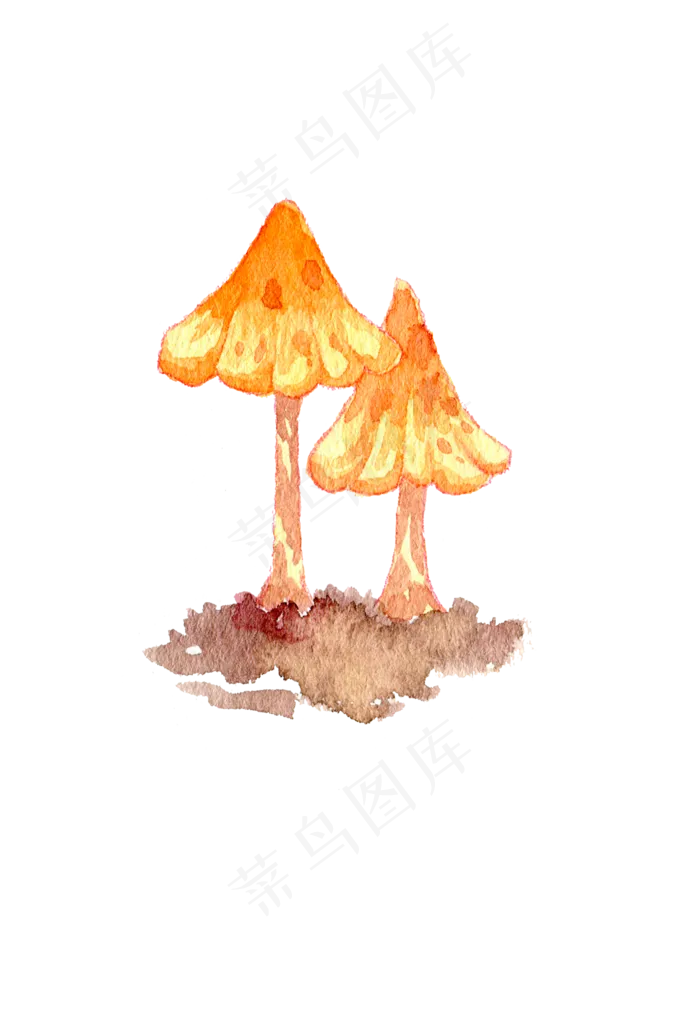 秋季菇类菌类蘑菇手绘蘑水彩蘑菇(2118X3072(DPI:300))psd模版下载