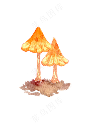 秋季菇类菌类蘑菇手绘蘑水彩蘑菇