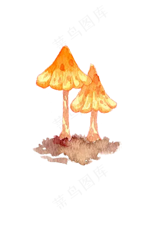 秋季菇类菌类蘑菇手绘蘑水彩蘑菇