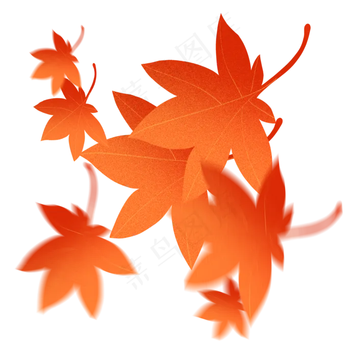 红色枫叶(2000X2001(DPI:300))psd模版下载