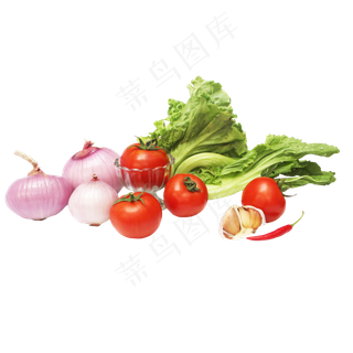 生菜芥菜洋葱胡萝卜辣椒大蒜