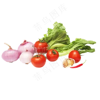生菜芥菜洋葱胡萝卜辣椒大蒜