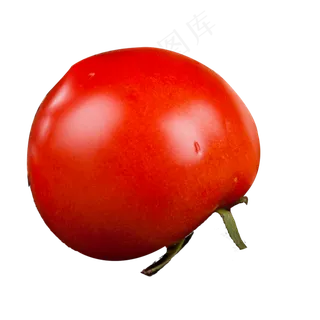 红色的西红柿免抠图