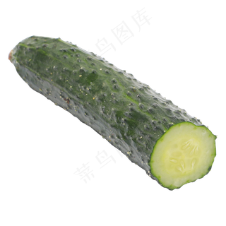 新鲜青瓜
