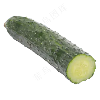 新鲜青瓜