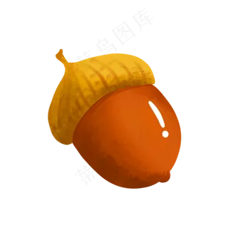 秋季果实橡果
