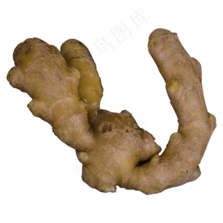 生姜实物拍摄png