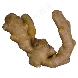 生姜实物拍摄png