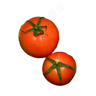 西红柿蔬菜（png免抠）