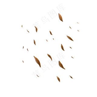 褐色枯萎花朵树叶