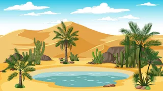 白天场景中的沙漠森林景观与绿洲